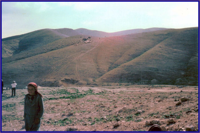 Arab Bedouin girl coming to see tourists